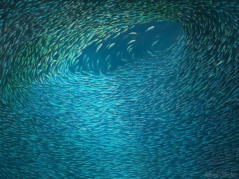 Painting of huge sardine baitball
