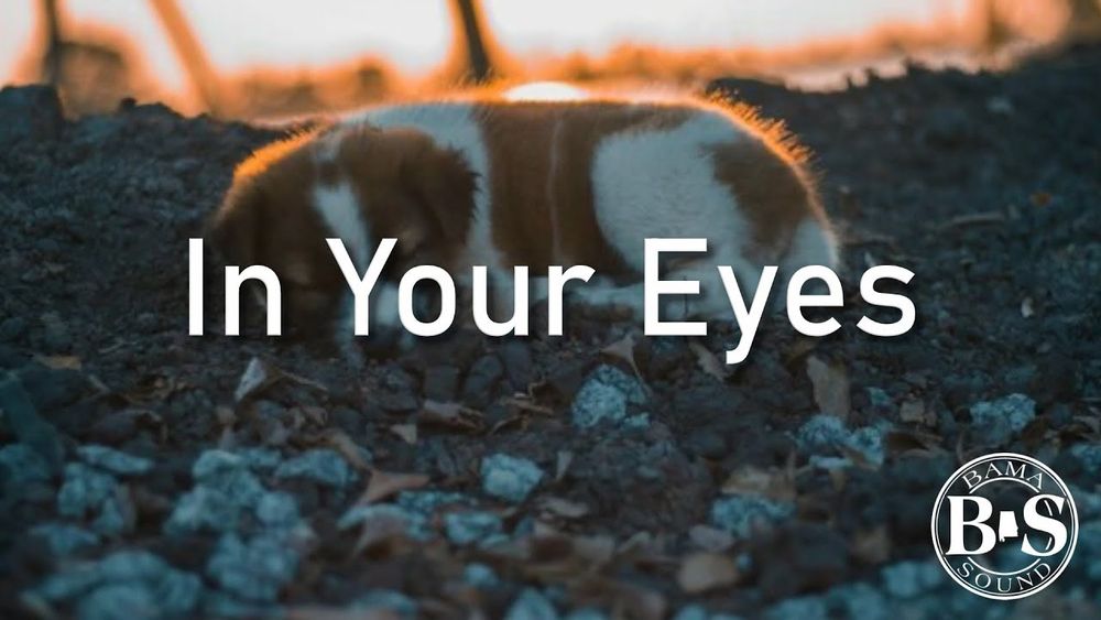 "In Your Eyes" | Lyric Video | BamaSound ft. Cameron DuBois & Steve Wingard