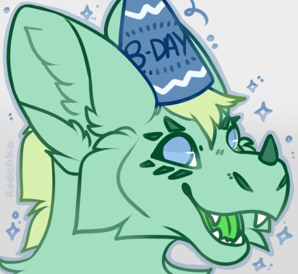 Basil the dutchie wearing a birthday hat and looking happy