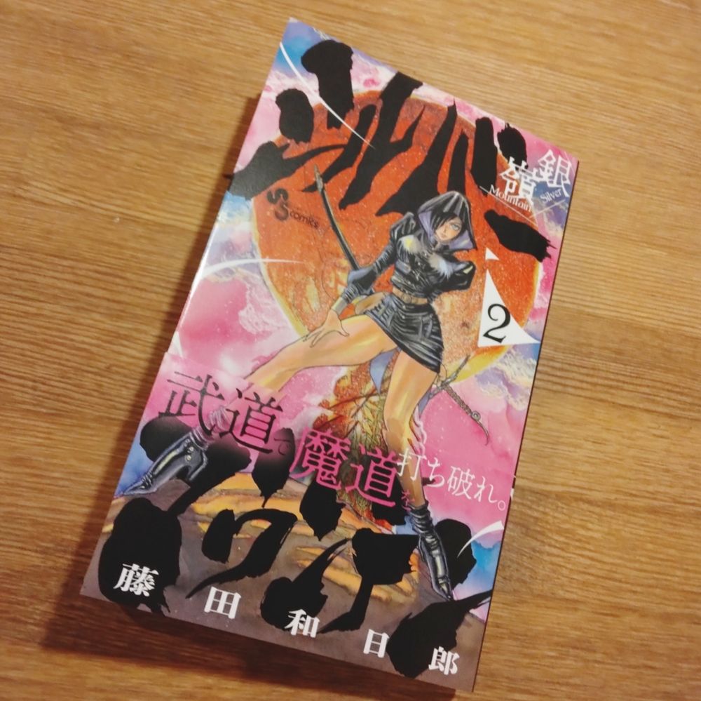 漫画シルバーマウンテン2巻　藤田和日郎著の表紙