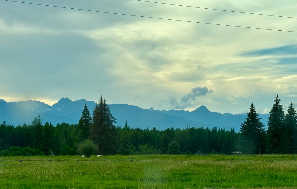 Meadow, Forest, mountains and sky 