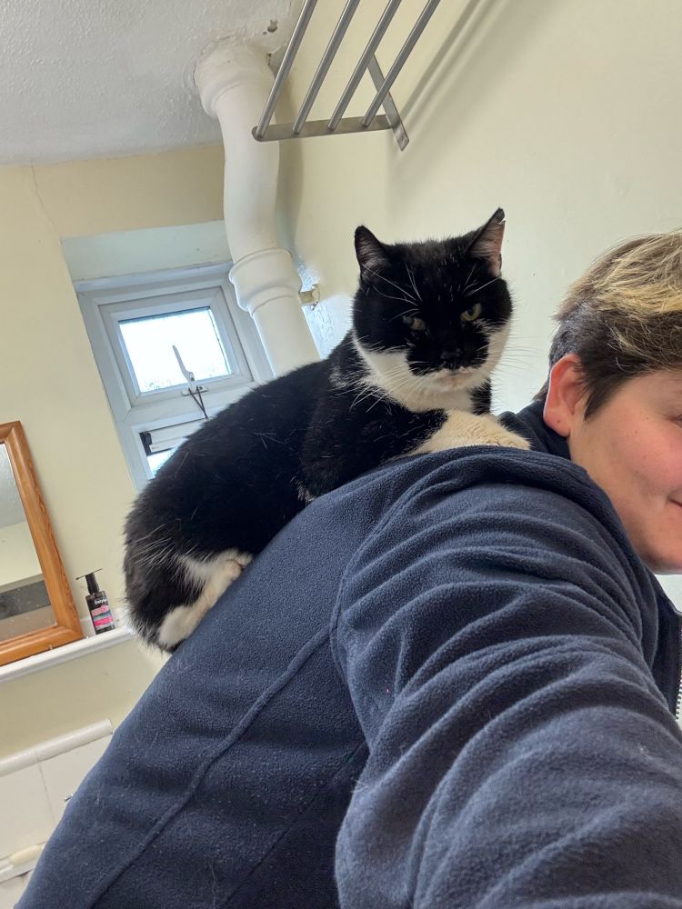 zeus, a black and white cat, is lying on riley’s back as they bend forward with a smirk on their face. zeus is looking very unbothered by it all.