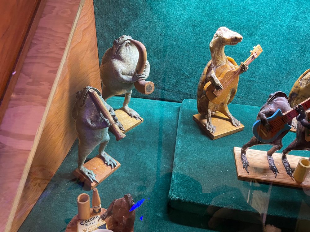 Taxidermy frogs playing instruments