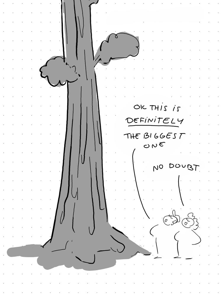 Two people stand in front of a large sequoia tree. “Ok this is definitely the biggest one” “No doubt”