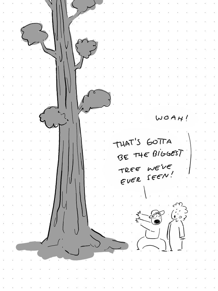 Two people standing in front of a sequoia tree. “Woah” “That’s gotta be the biggest tree we’ve ever seen!”