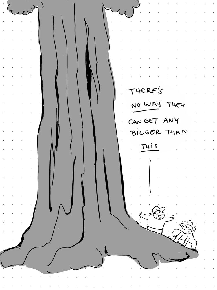Two people standing next to a larger sequoia tree. “There’s no way it can get any bigger than this”