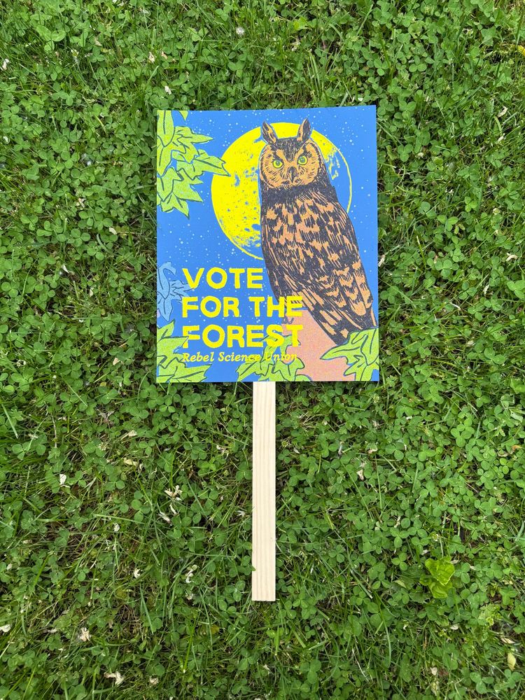 Protest posters on the ground. "Vote for the forest" with an owl