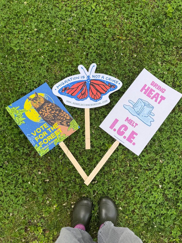 Photo of three protest posters on the ground. "Vote for the forest" with an owl, "migration is not a crime" with a monarch, and "bring heat melt I.C.E." with a melted ice cube 