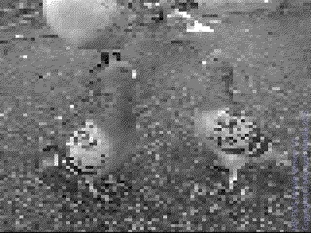CGA 80 column Mode 2 Heavily Dithered picture of two standing pigeons.