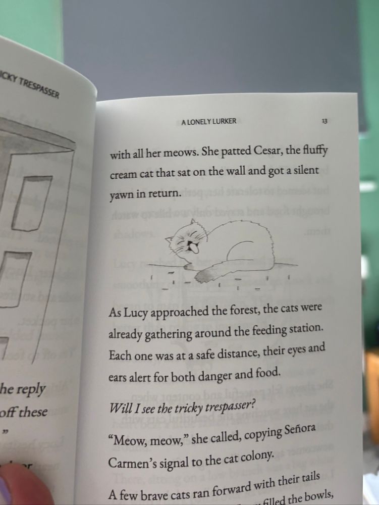 Page 13: an illustration of a cat licking his further with large size text “As Lucy approached the forest, the cats were already gathering around the feeding station. Each one was at a safe distance, their eyes and ears alert for both danger and food. Will I see the tricky trespasser?”