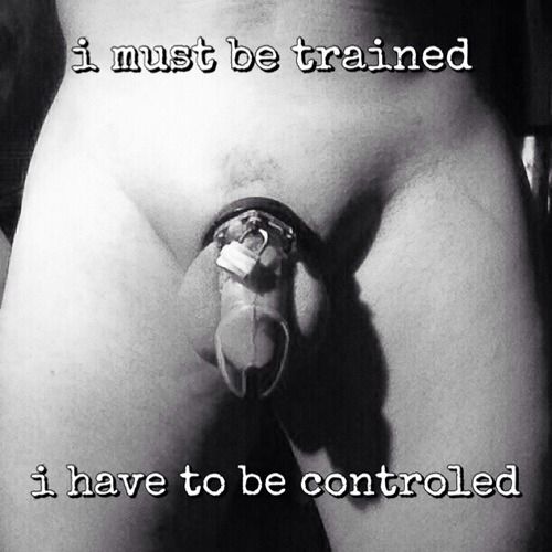 Black and white photo of a dick in chastity captioned "I must be trained. I have to be controlled."