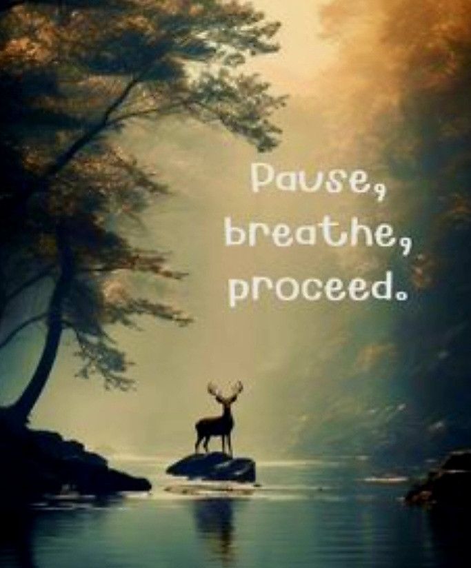 Pause, breathe, proceed.