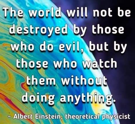 The world will not be destroyed by those who do evil, but by those who watch them without doing anything.

~ Albert Einstein, theoretical physicist