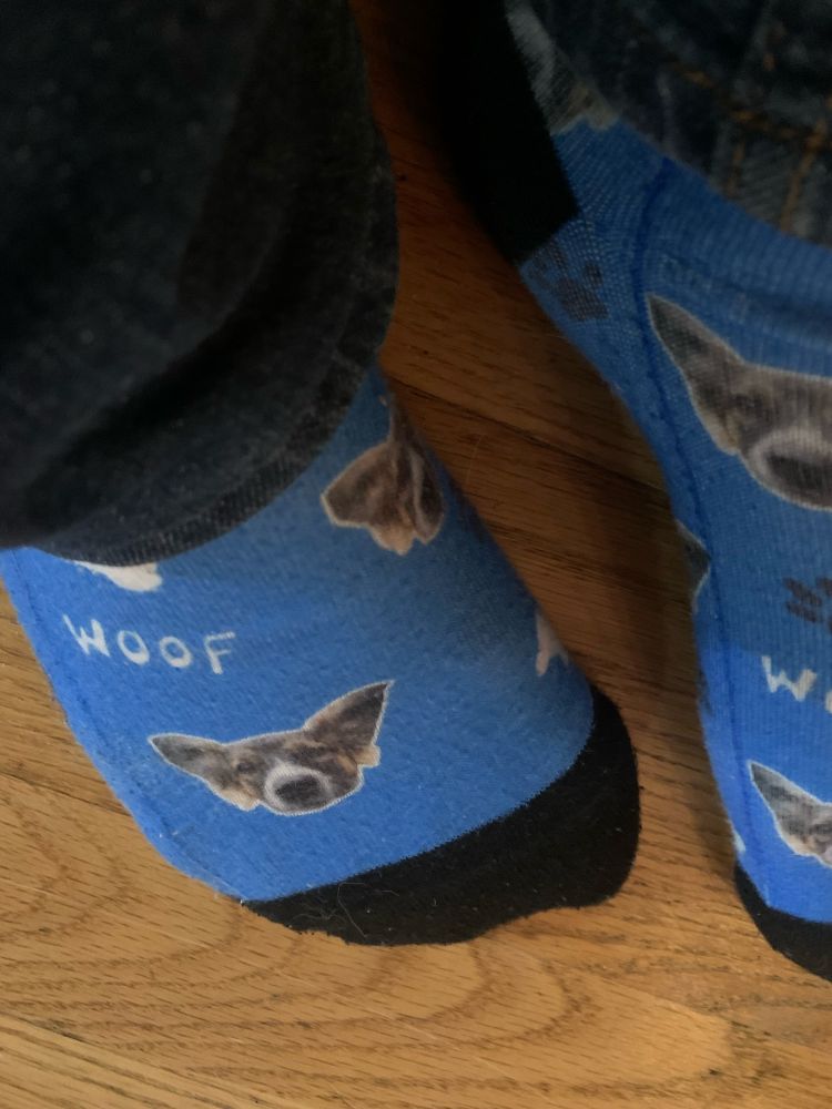 Blue socks with a cute dogs face, the word “woof”, bones, and paw prints printed on it.