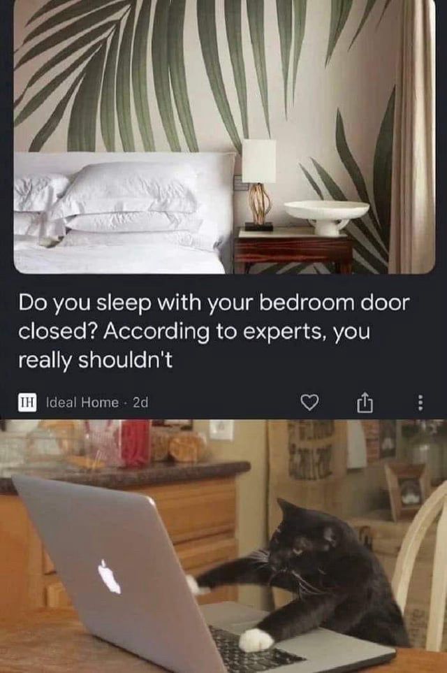 Article with the headline: Do you sleep with your bedroom door closed? According to experts, you really shouldn’t. In the next frame there’s a picture of a cat typing on a laptop.
