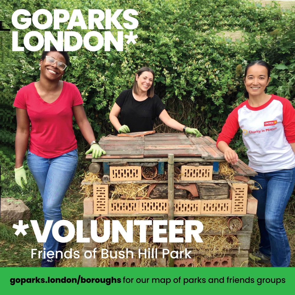 Image shows a group of volunteers around a new bug hotel.