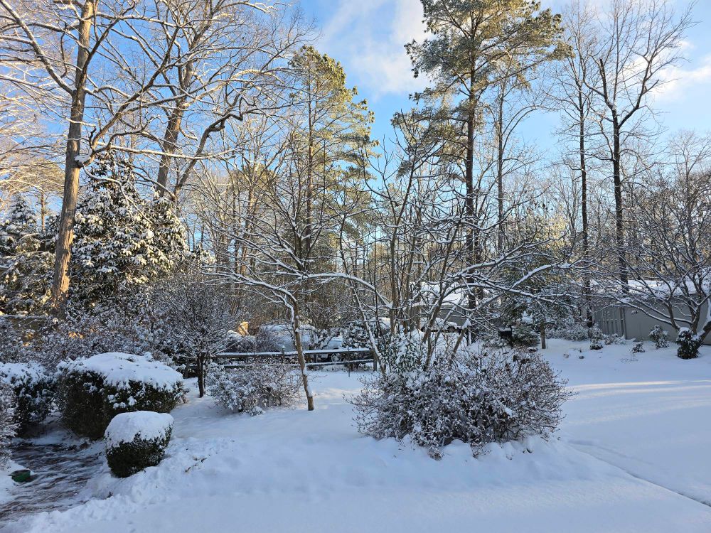 Snowy morning, Virginia