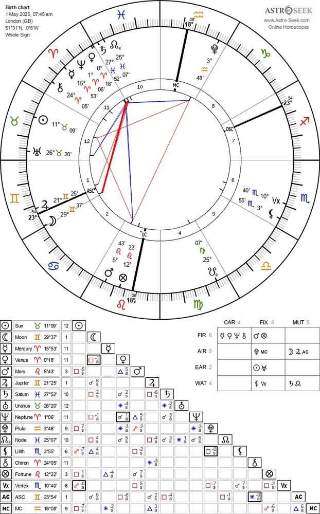 The chart of the moment of surgery.