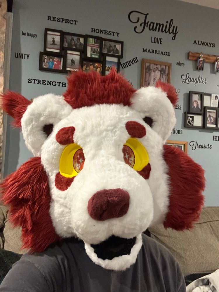 A Binturong fursuit head that’s forward facing. The nose, eye brows, under eyes, inside of ears, and fur tufts are red while the red is white. The inside of the mouth is black while the eye lids are yellow with orange pupils. 