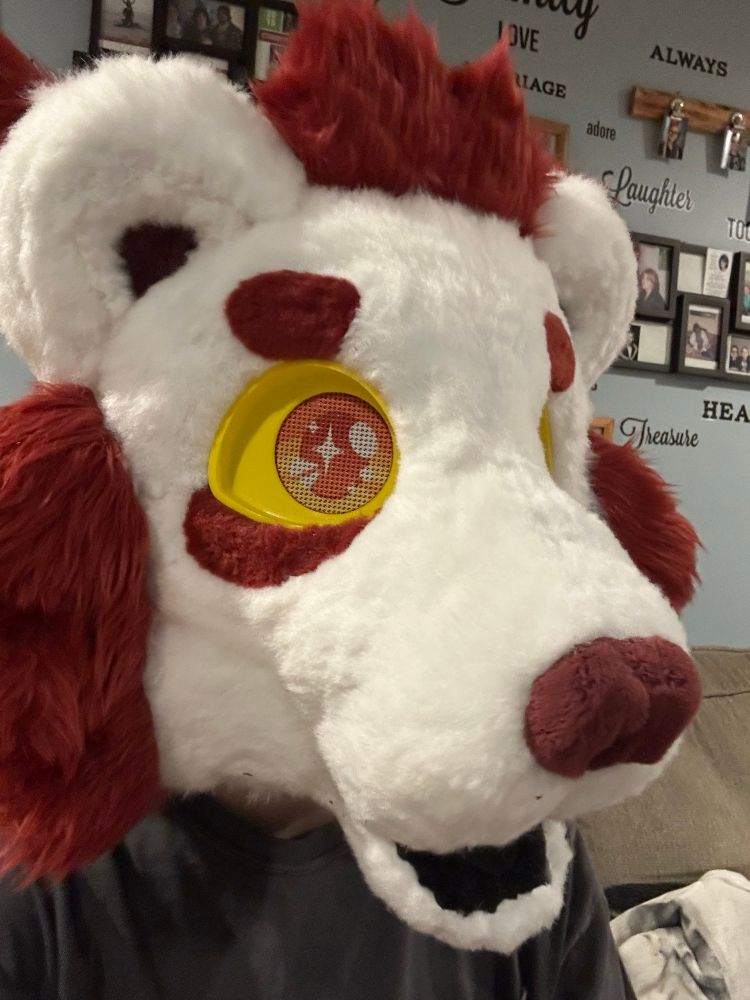 A Binturong fursuit head that’s side facing. The nose, eye brows, under eyes, inside of ears, and fur tufts are red while the red is white. The inside of the mouth is black while the eye lids are yellow with orange pupils. 