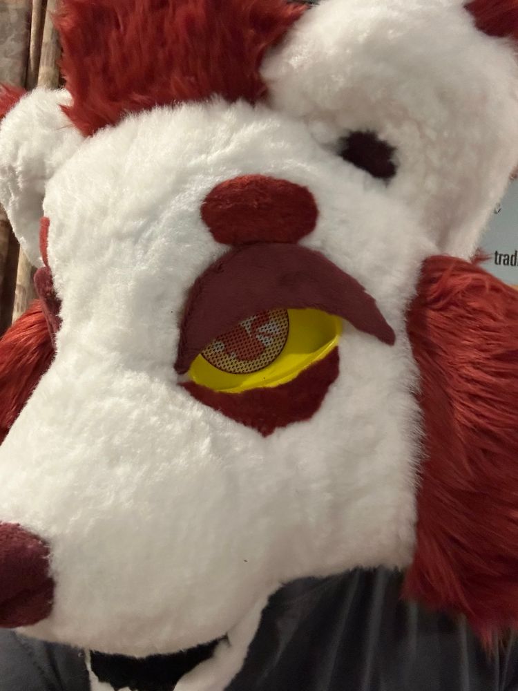 A Binturong fursuit head that’s side facing. The nose, eye brows, under eyes, inside of ears, eyelids, and fur tufts are red while the face is white. The inside of the mouth is black while the eye lids are yellow with orange pupils. 