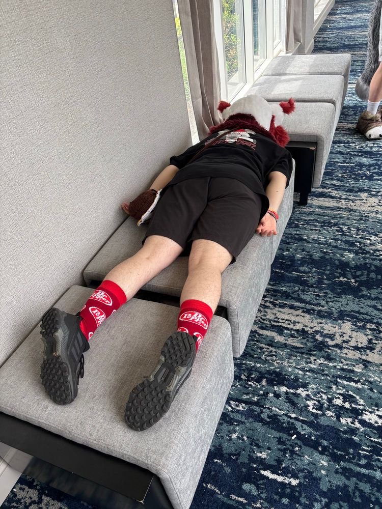 Me planking in a fursuit head 