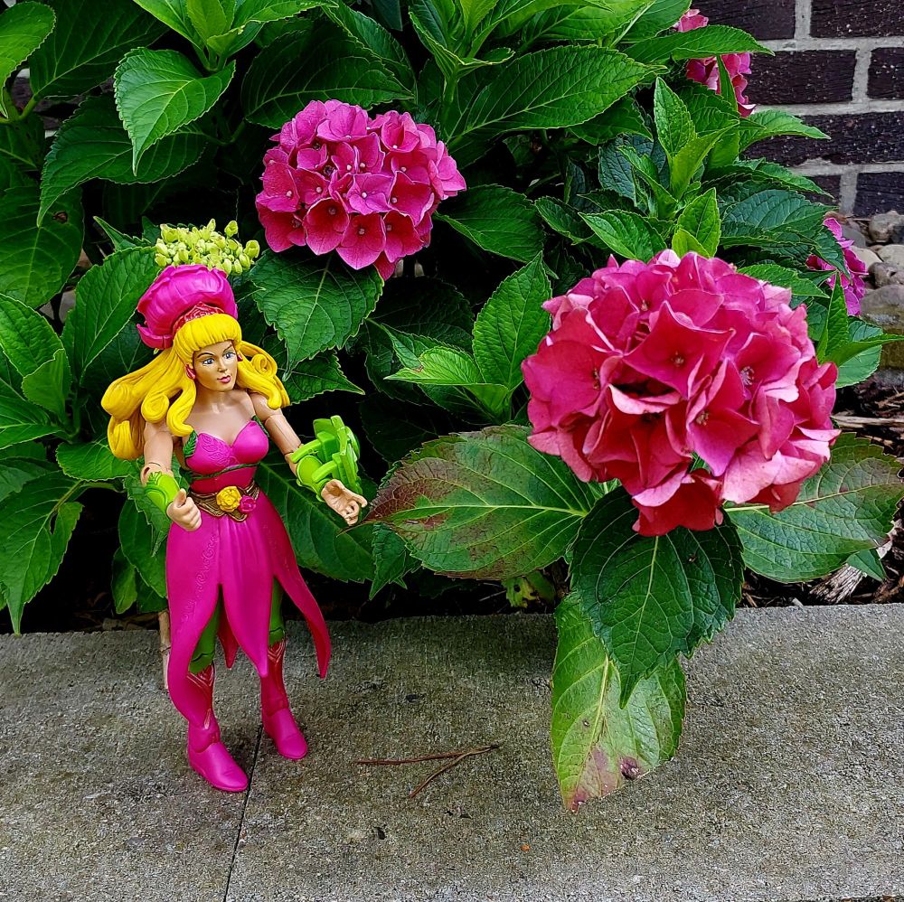Masters of the Universe Classics Perfuma with hortensias 