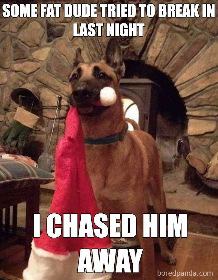 The meme shows a dog standing in front of a fireplace. The dog is wearing a blue collar and a Santa hat. It has a white ball in its mouth. The text on the meme says, "Some fat dude tried to break in last night. I chased him away."

The meme is a joke about a dog chasing away a burglar. The dog is wearing a Santa hat, which makes the joke even funnier. The meme is also a play on words, as the word "fat" can also mean "stupid." So the dog is saying that it chased away a stupid burglar.
