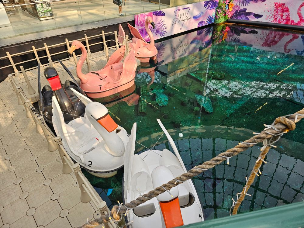 West Ed mall, swan pedal boats.