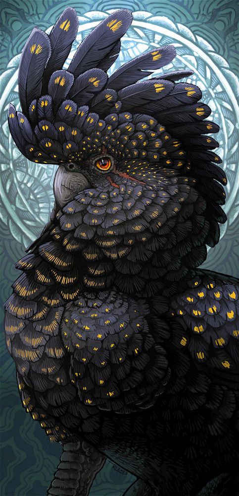 A grumpy looking red tailed black cockatoo gryphon, missing a front left legs and scars over the left eye.  Patterned background.
