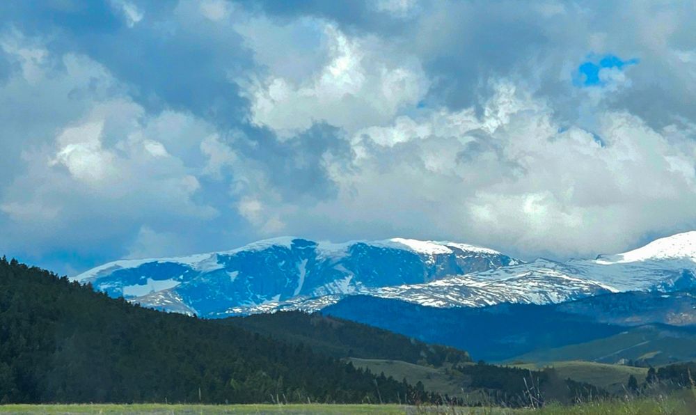 This photo captures a scenic mountain landscape under a partly cloudy sky. The immediate foreground consists of light-colored grass. A dense forest of dark green coniferous trees covers rolling hills in the middle ground. Large mountains dominate the background, with the peaks covered in significant amounts of snow. The snow contrasts sharply with the darker rock and some exposed patches of green. The sky is filled with a mix of white and gray clouds, with patches of bright blue sky visible.
