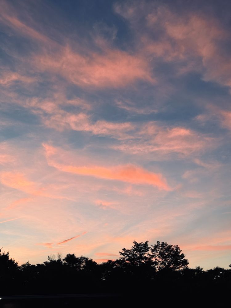 日没後の夕焼け雲の写真です。薄くのびた雲が茜色に染まっています。