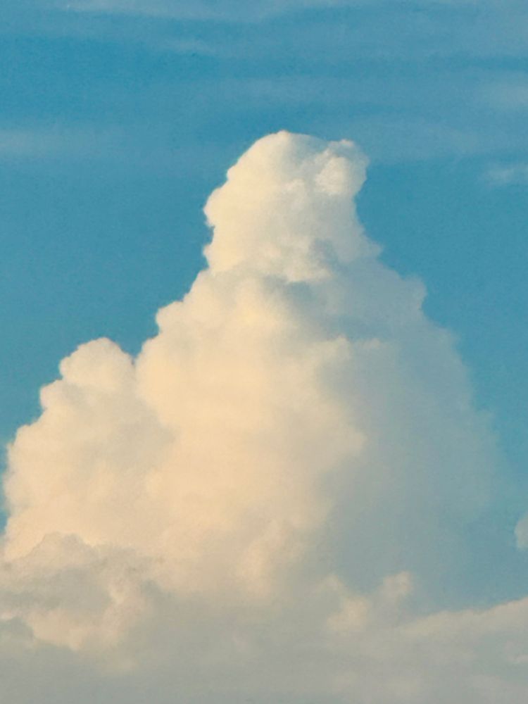 青空にモコモコと立ち上がる入道雲の写真です。