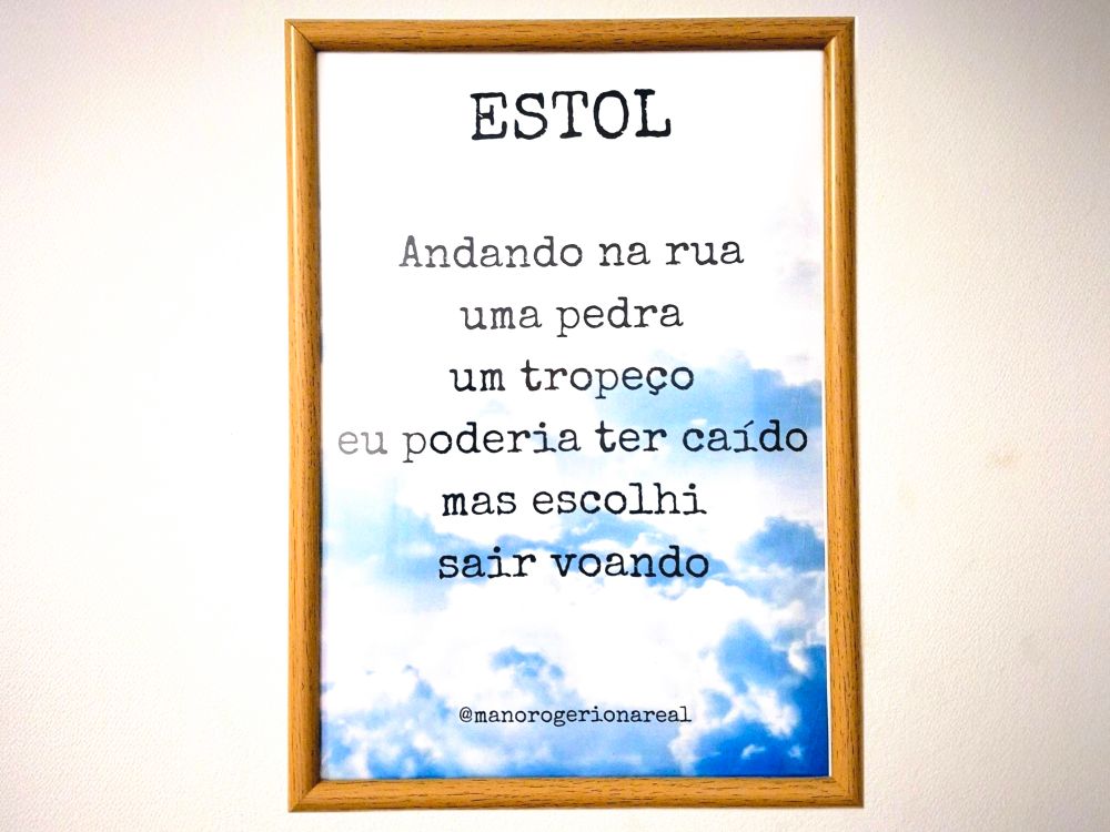 Estol 

Andando na rua 
uma pedra 
um tropeço 
eu poderia ter caído 
mas escolhi 
sair voando 

Rogério Souza Vicente