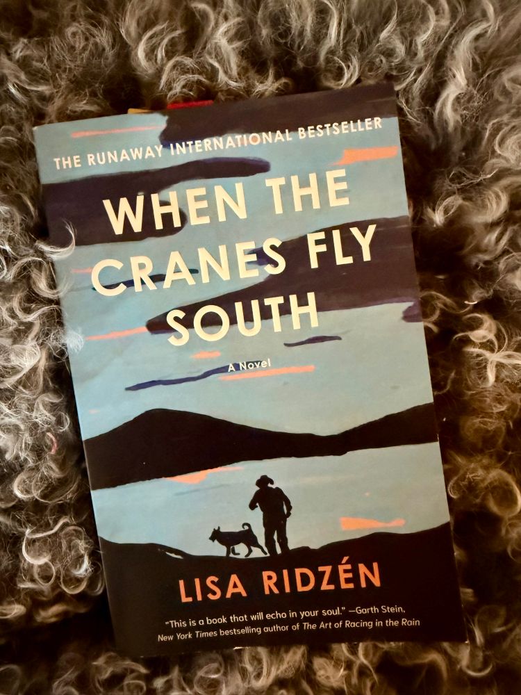 Book Cover: When The Cranes Fly South, written by Lisa Ridzen. Get the tissues ready. 