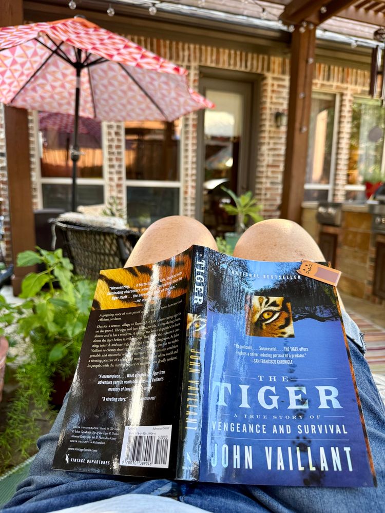 Sitting on chaise in back yard reading The Tiger, written by John Vaillant. On page 62/306. This is intriguing so far and learning A LOT, which is awesome.   Nice break after mowing the backyard, cutting back the Turk’s Cap, quick run to the fabric store to make 1st of 2 quilt blocks tomorrow due for Friday’s class, and watching the Cowboys win! 