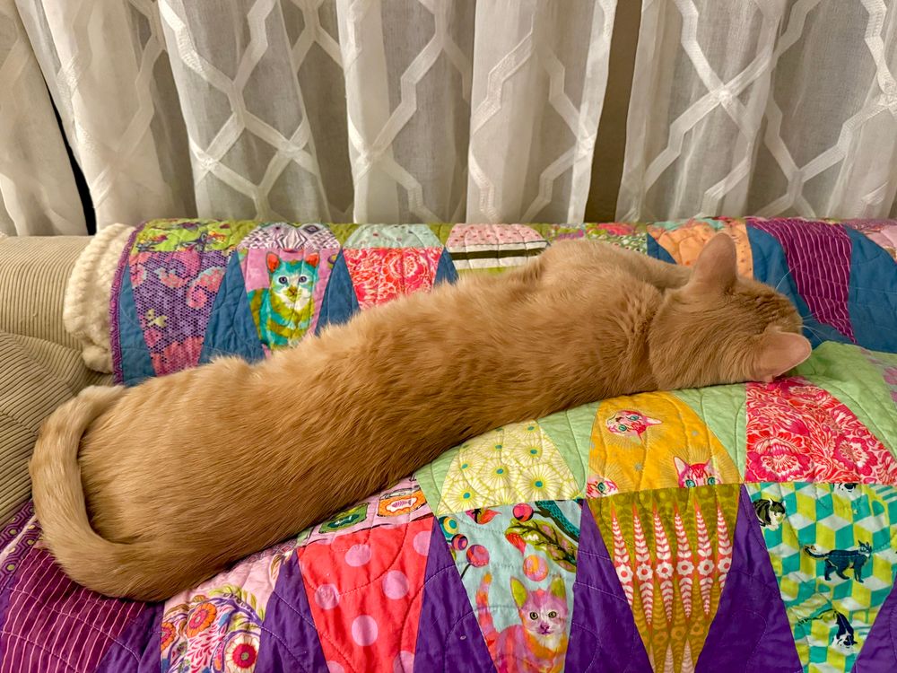 Raphi, my Creamsicle bff, lounging on the sofa pillow tops which are covered by my Tula Pink Tabby Mountain quilt. This guy knows how to relax! He’s so dang long. 🐈