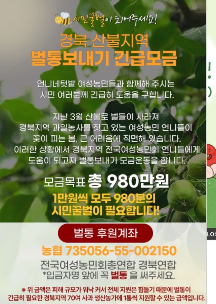 전국여성농민회총연합 언니네텃밭에서 3월 산불 피해 여성 농민을 돕기 위한 모금 안내 이미지.
후원계좌는 농협 735056-55-002150, 입금자명 앞에 꼭 벌통을 써주세요. 모금 목표는 980만원으로 벌통이 긴급히 필요한 경북지역 70여 사과 생산농가에 1통씩 지원할 수 있는 금액입니다.
