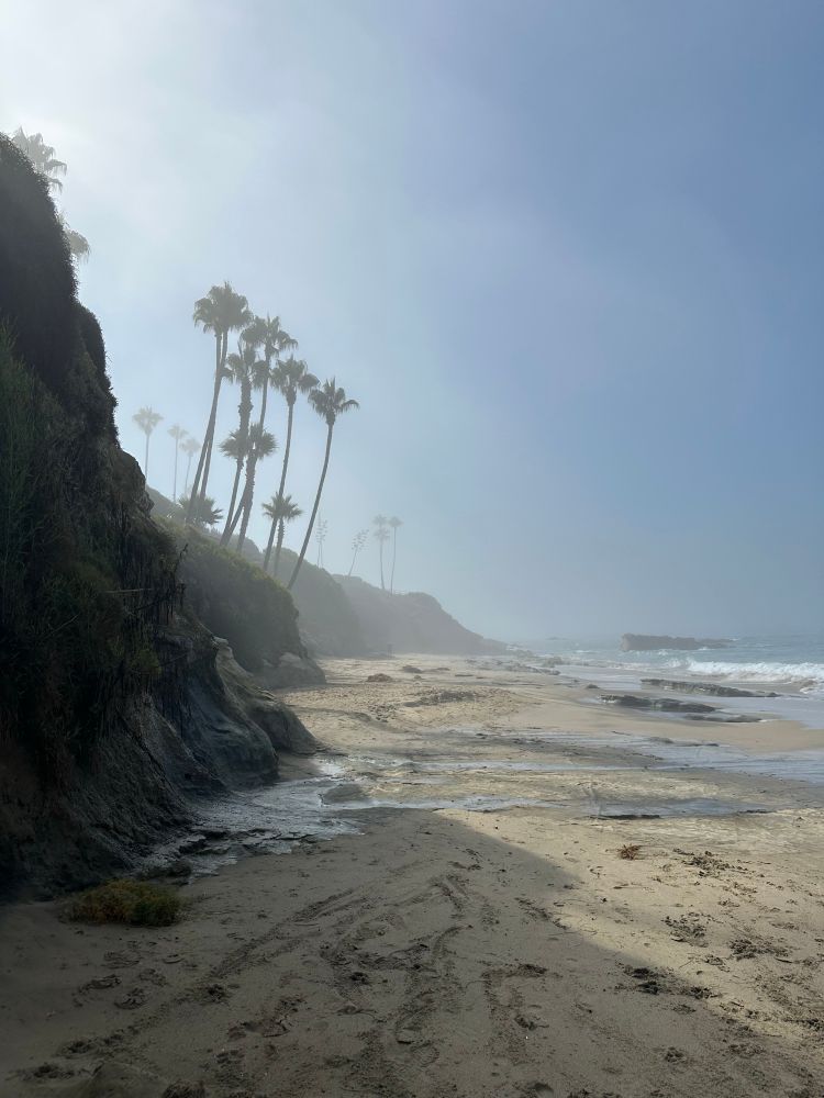 Picnic beach, California on a hazy morning. 