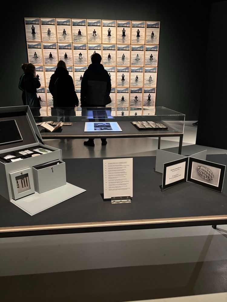 Impressionen der Ausstellung 