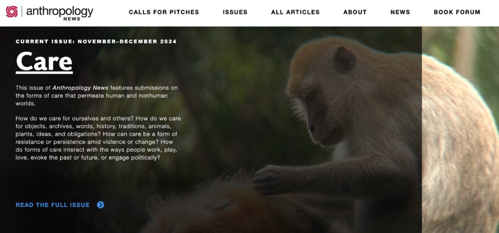On the left, there is a text description of care, the current issue, for Anthropology News. On the right, two macaques engage in social grooming. 