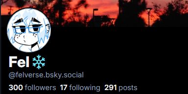 Image of Fel's follower count, now at 300.