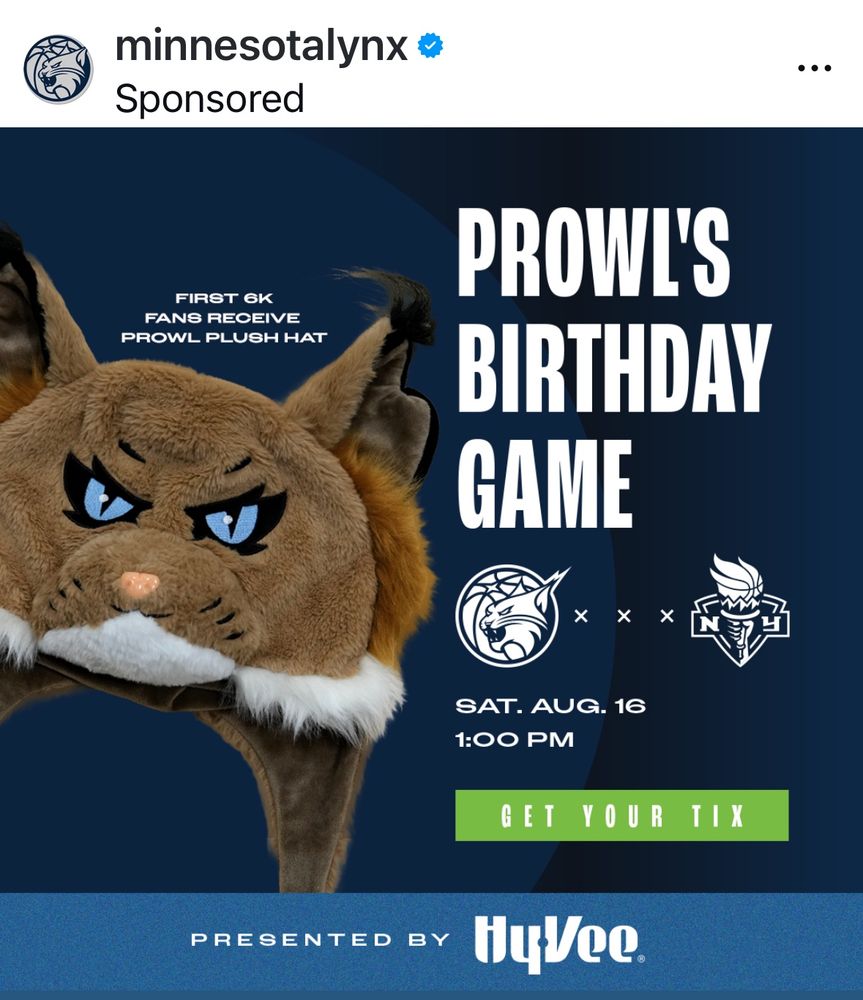 Plush hat that looks like Prowl for the Lynx mascot’s birthday celebration game vs NY Liberty. 
