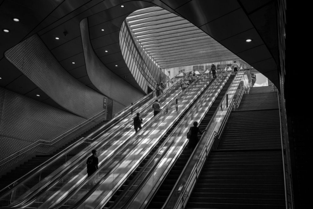 Stephane Pouyllau - Chronicles / Escalators | LFI Gallery