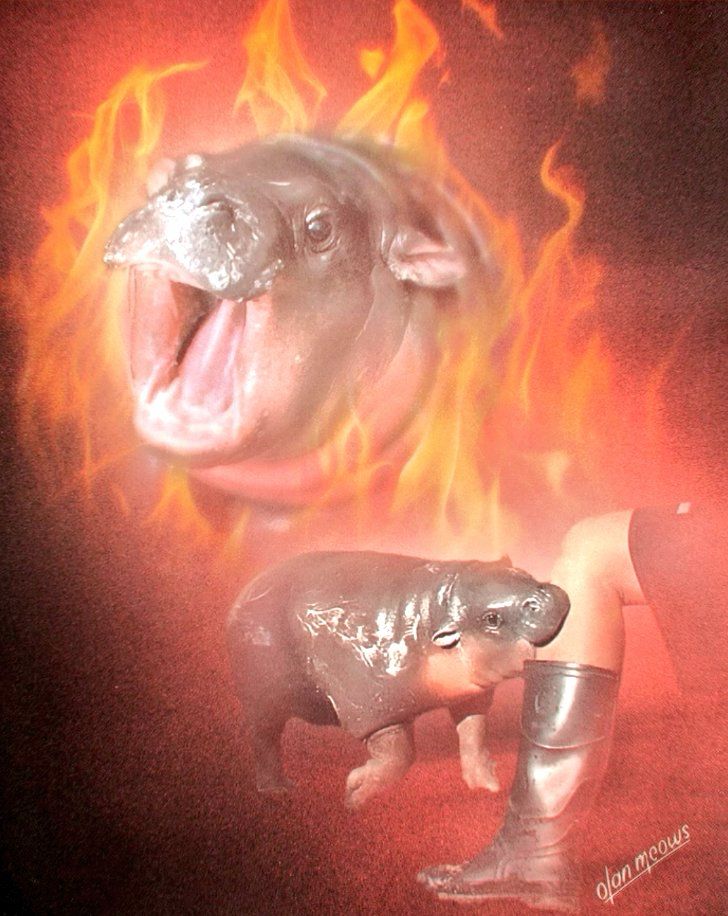 Moo Deng com a boca aberta parecendo gritar e Moo Deng mordendo a perna de seu cuidador, imagens em um fundo preto com labaredas (fogo)