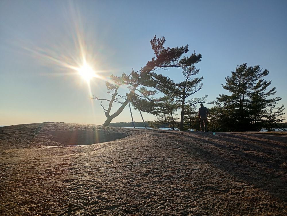 The windswept pine (aka "The Tree") on the rocky shore of Georgian Bay. It's an extremely well photographed tree, estimated to be around 100 years old. The braces are to slow it's eventual slide into death 