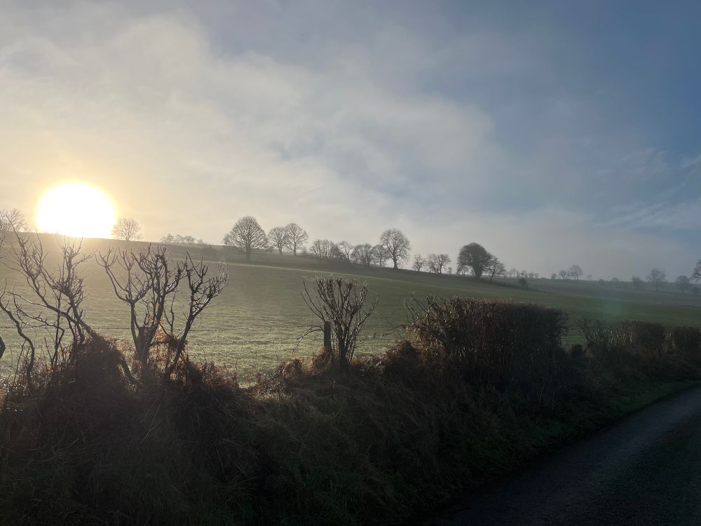 Photo of a green field with silhouettes of trees in the foreground and the horizon - the sun is just over the top of the hill in the background, beginning to burn off the fog that’s throughout the image.