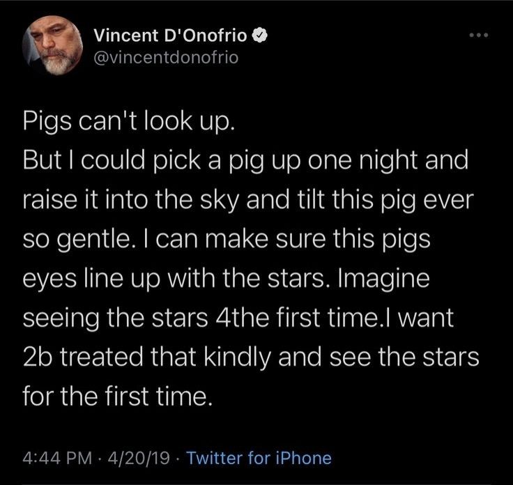 Pigs can't look up. But I could pick a pig up one night and raise it into the sky and tilt this pig ever so gentle. I can make sure this pigs eyes line up with the stars. Imagine seeing the stars 4the first time.I want 2b treated that kindly and see the stars for the first time.