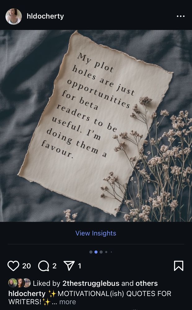 My plot holes are just opportunities for beta readers to be useful. I’m doing them a favour. 