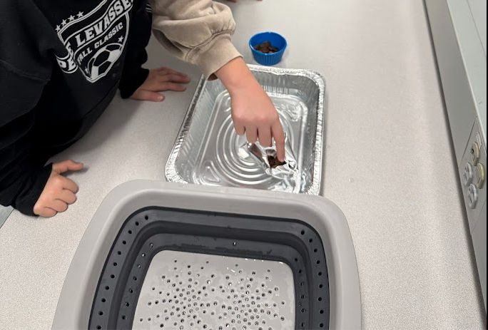 Students adding pennies to their aluminum boat floating in a tray of water.